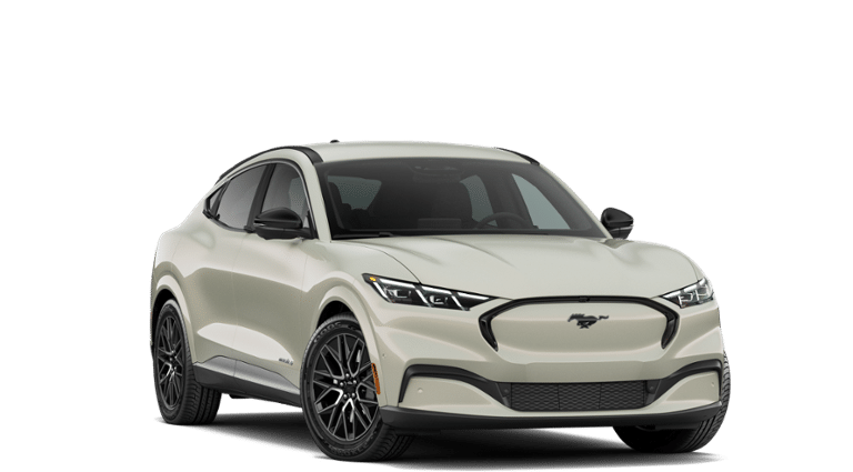 Mustang Mach-E® vehicle
